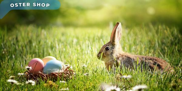 Fröhliche Ostern! Ihr Oster Shop für festliche Überraschungen