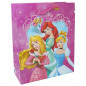 Preview: Disney Geschenkstasche Prinzessin 26 cm x 32 cm x 12 cm