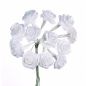 Preview: Glorax Diorrose 10cm 12 Blüten Weiss – 63804201