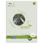 Preview: Ursus Green Collegeblock A4 80 Blatt 60g/qm 5mm kariert 4-Loch