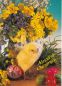 Preview: Oster-Postkarte Kücken mit Blumen und Oster-Eier