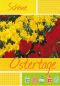 Preview: Oster-Postkarte mit rot-gelben Blumen