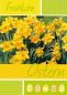 Preview: Oster-Postkarte Hase mit Gelben BlumenOster-Postkarte mit gelben Blumen