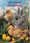 Preview: Oster-Postkarte Hase mit Kücken und Oster-Eier