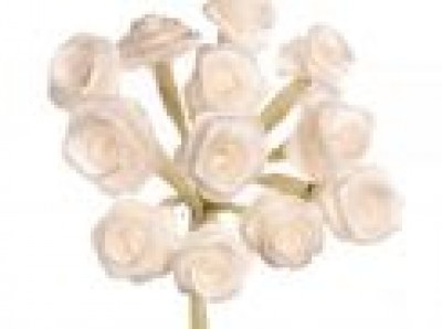 Glorax Diorrose 10cm 12 Blüten Creme – 63804211