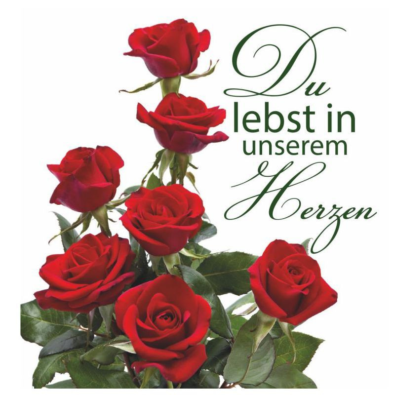 Preview: Hofer-Kerzen Premium 4 Tage Motivlicht, ROSE