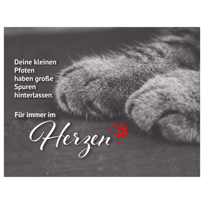Preview: Hofer-Kerzen Premium 4 Tage Motivlicht, KATZE