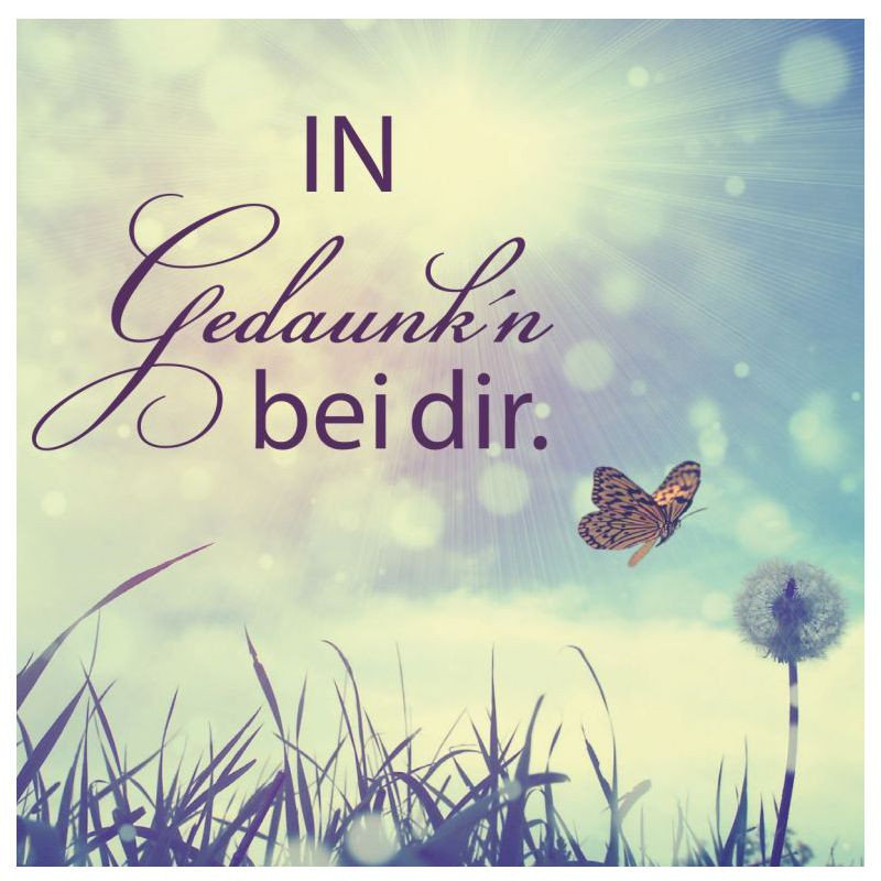 Preview: Hofer-Kerzen Premium 4 Tage Motivlicht, IN Gedanken bei dir