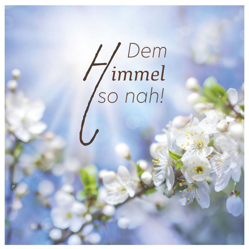 Preview: Hofer-Kerzen Premium 4 Tage Motivlicht, APFELBAUM