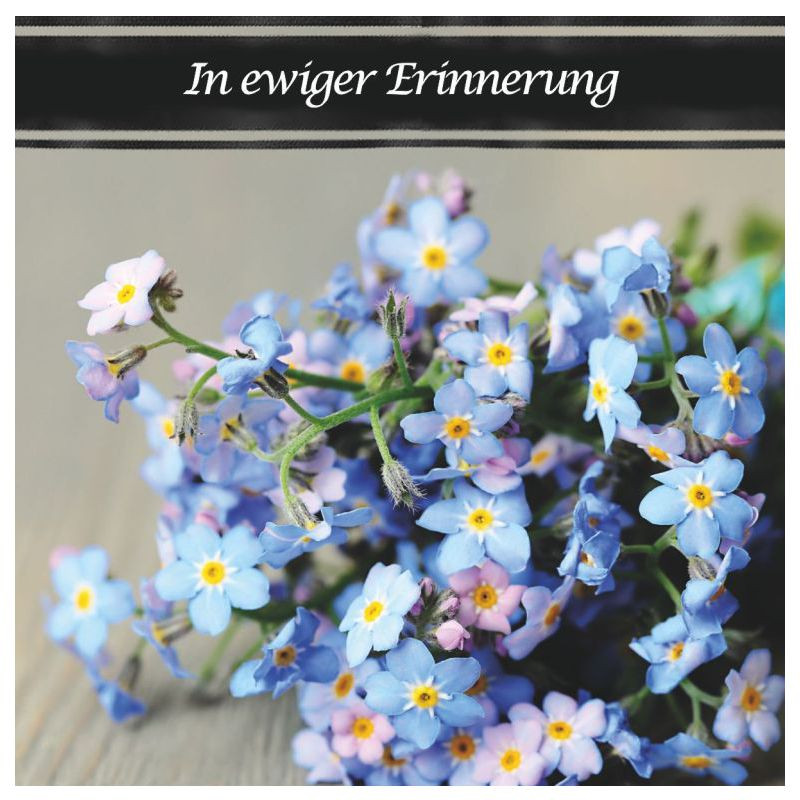 Preview: Hofer-Kerzen Premium 7 Tage Motivlicht, IN EWIGER ERINNERUNG