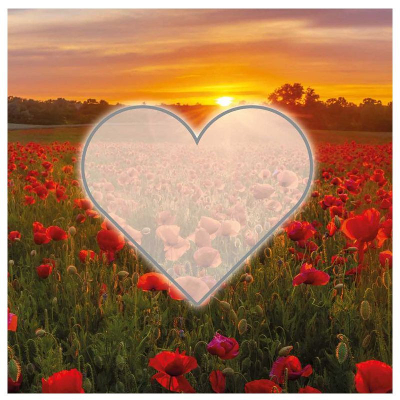 Preview: Hofer-Kerzen Premium 7 Tage Motivlicht Herz, MOHNBLUMENFELD