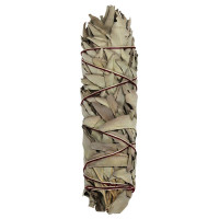 Smudge Stick, Weißer Salbei ca. 80-90g XXL ca. 25cm