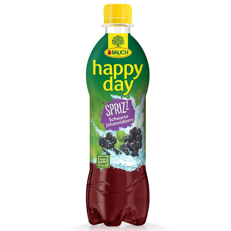 Rauch Happy Day Schwarze Johannisbeere Spritzer 500 ml Einwegpfand