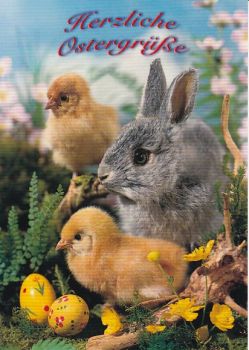 Oster-Postkarte Hase mit Kücken und Oster-Eier
